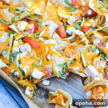 a wooden spatula resting in a sheet pan of buffalo chicken nachos