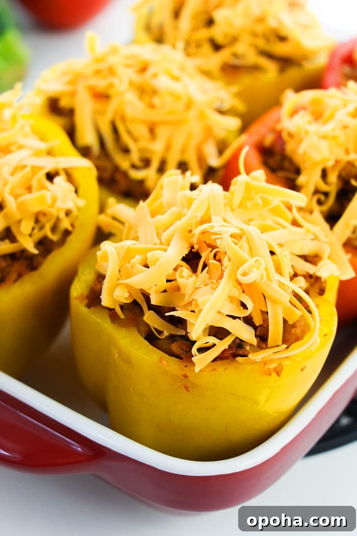 Best Homemade Stuffed Green Peppers With Shredded Cheese in White and Red Dish