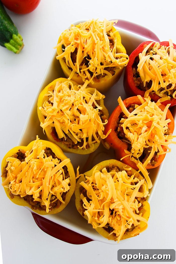 Cheese and Beef Peppers in Casserole Dish- Overhead Shot