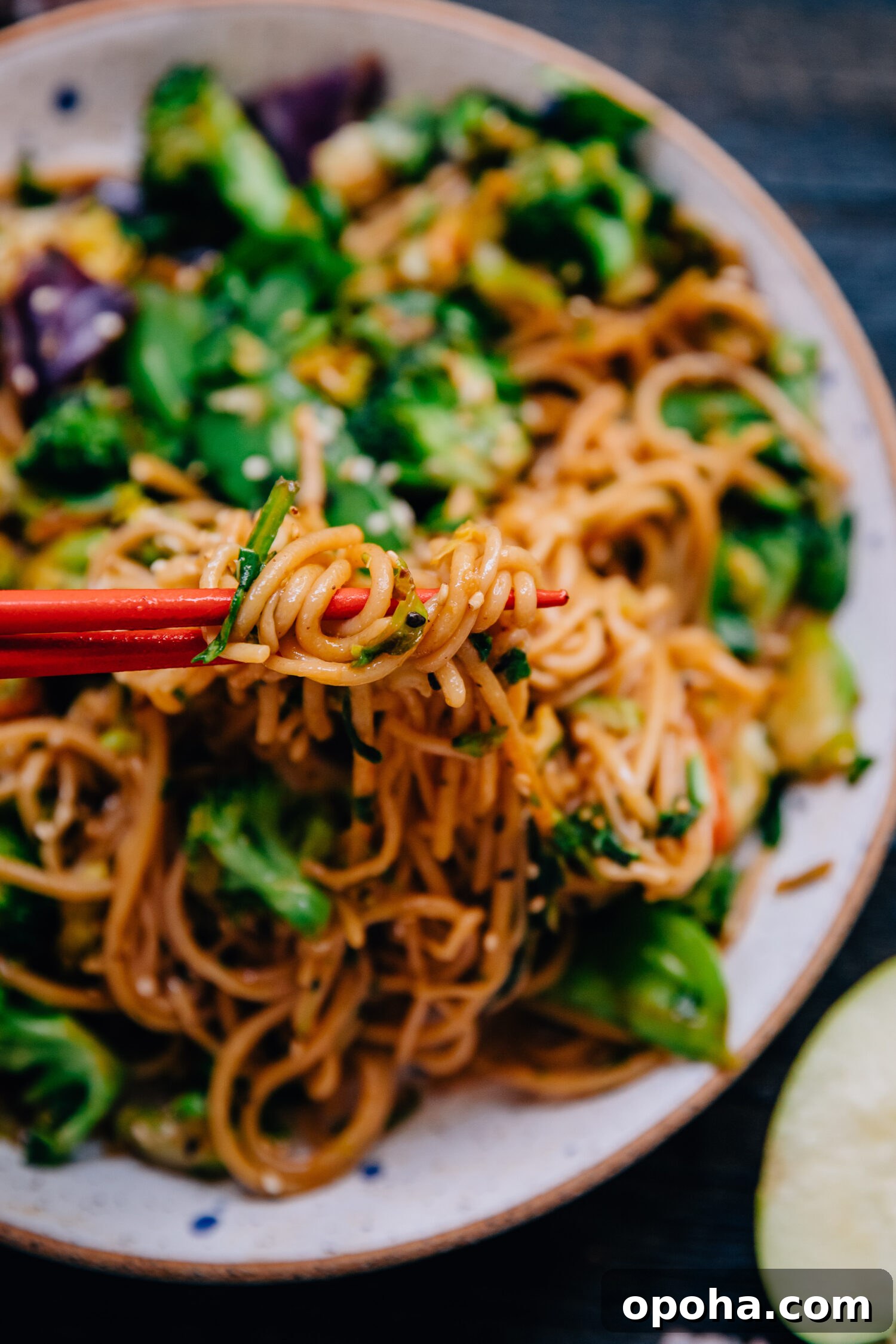 Shirataki Noodles | Well and Full | #vegan #healthy #recipe