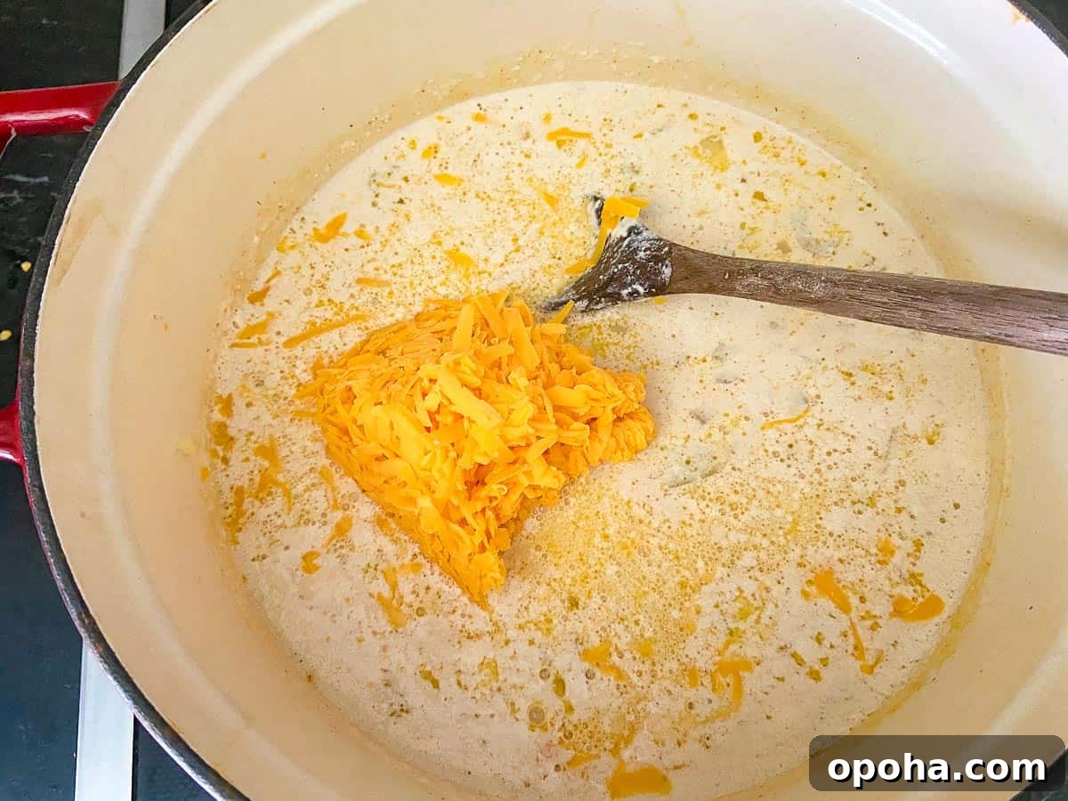 Shredded cheese added to soup