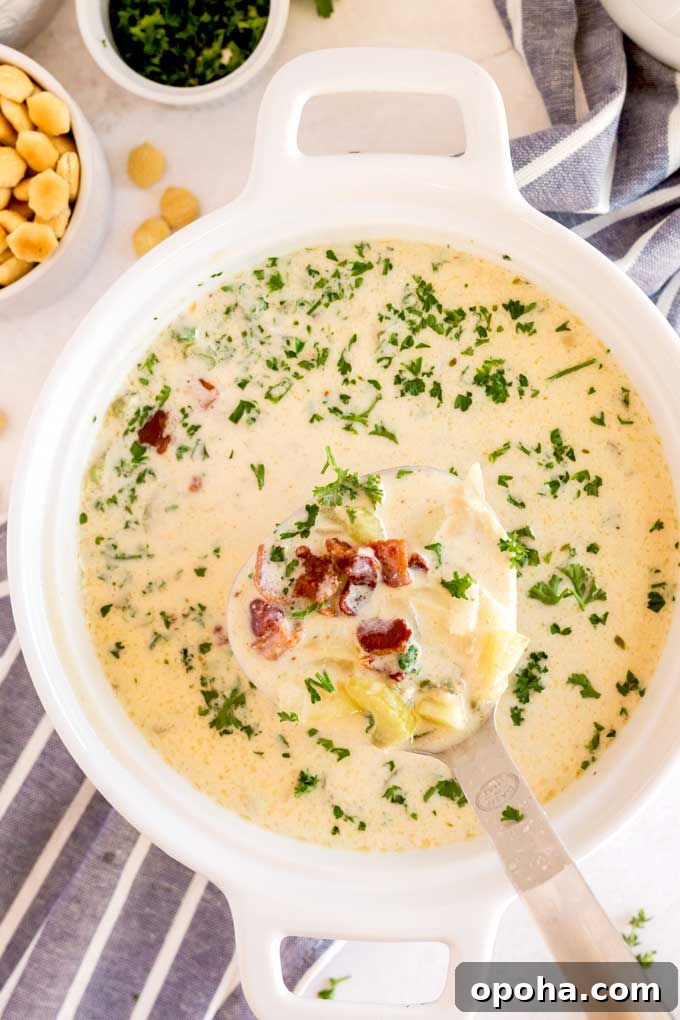 Soup lifted with a ladle from a soup pot.