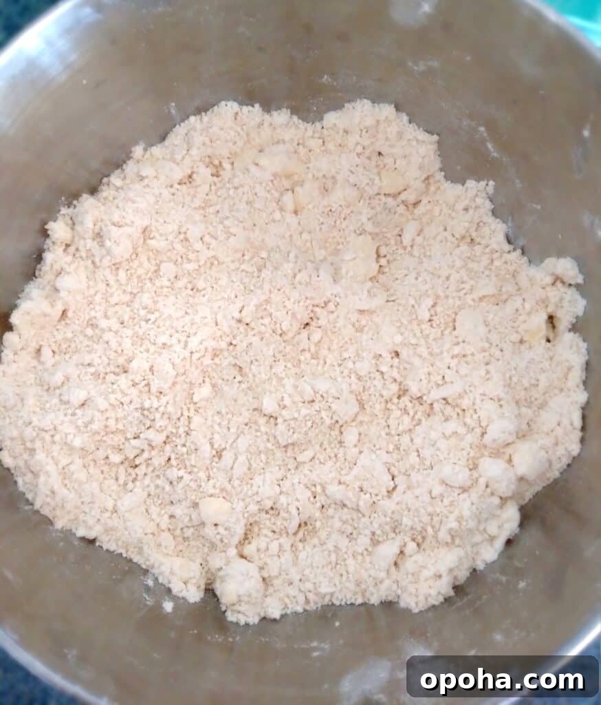 crumb mixture for shoofly pie.