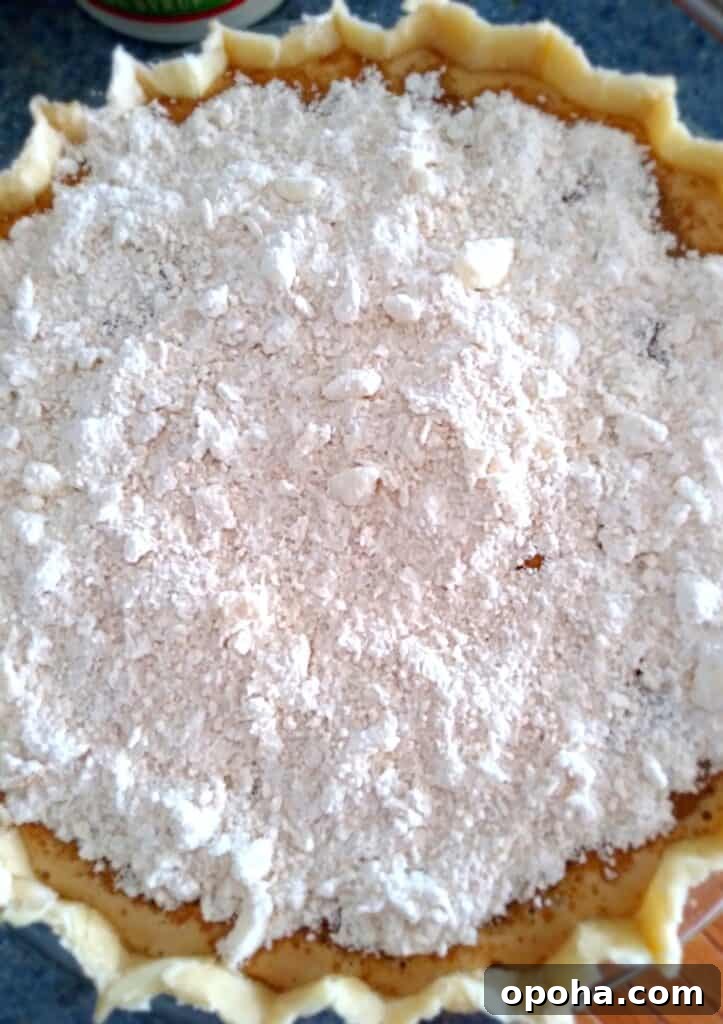 molasses pie with crumbs on the top, ready to bake.