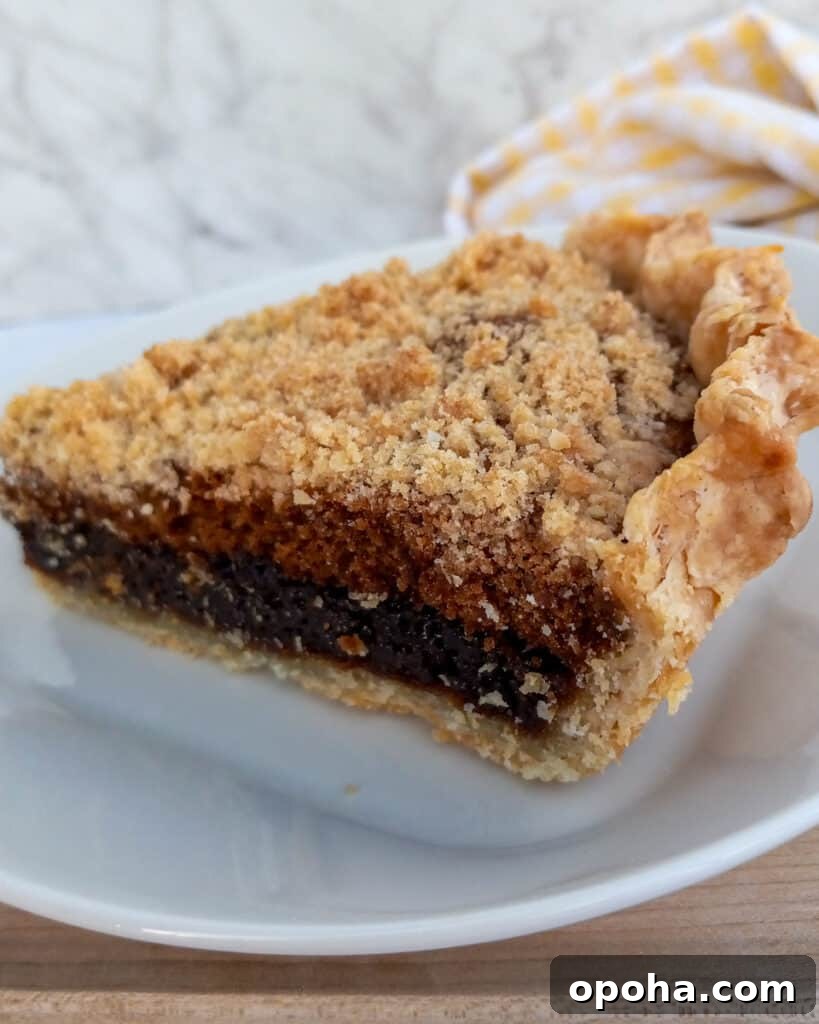a slice of wet bottom PA Dutch shoofly pie on a plate
