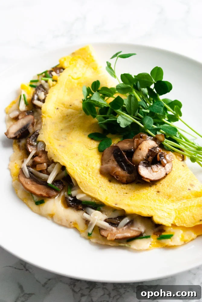 Mushroom and gruyere cheese omelette on a plate with pea shoots.