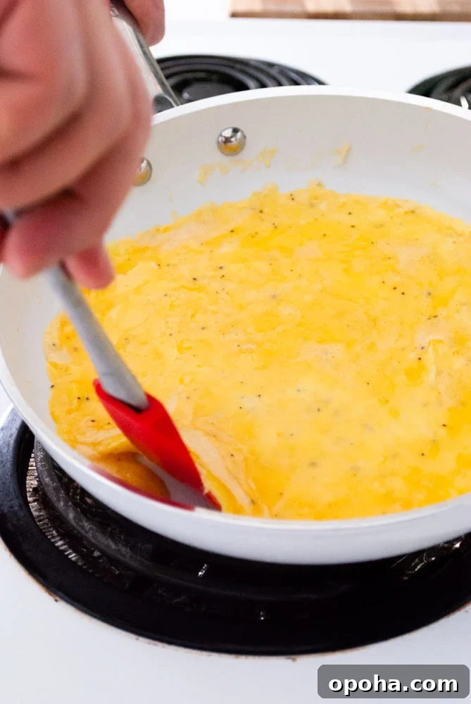 lifting the omelette
