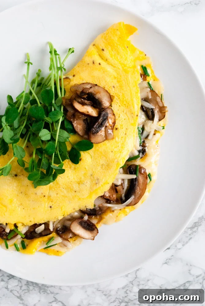 Mushroom omelette topped with micro greens on a plate.