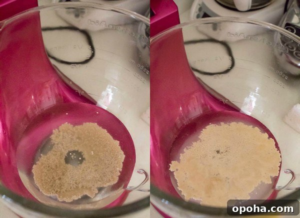 Proofing the yeast for dough