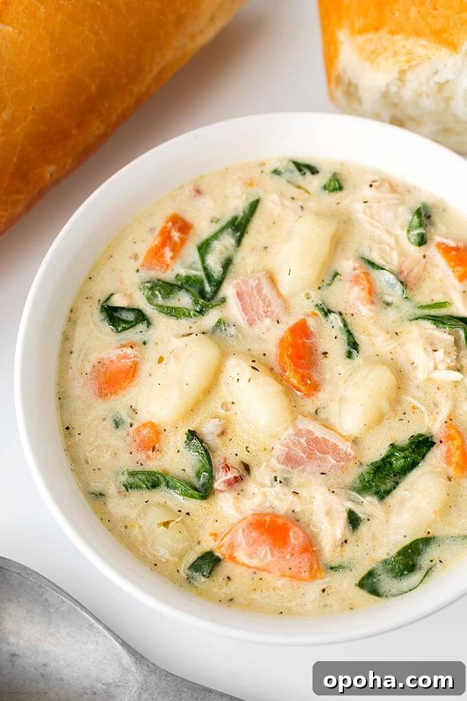 Creamy Chicken Gnocchi Soup Recipe 2 Creamy Chicken Gnocchi Soup in a white bowl on a white background
