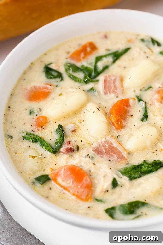Creamy Chicken Gnocchi Soup Recipe 3 Creamy Chicken Gnocchi Soup in a white bowl