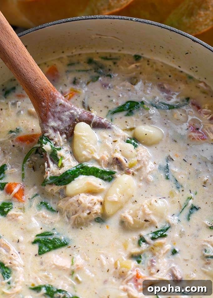 Creamy Chicken Gnocchi Soup Recipe 5 Wooden spoon stirring Creamy Chicken Gnocchi Soup in a bowl