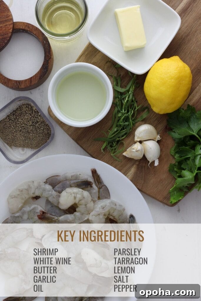 ingredients laid out on a kitchen counter.