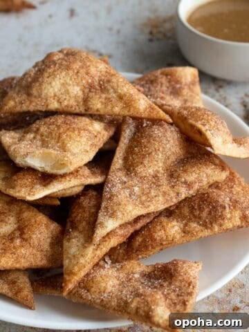 a stack of churro chips on a plate.