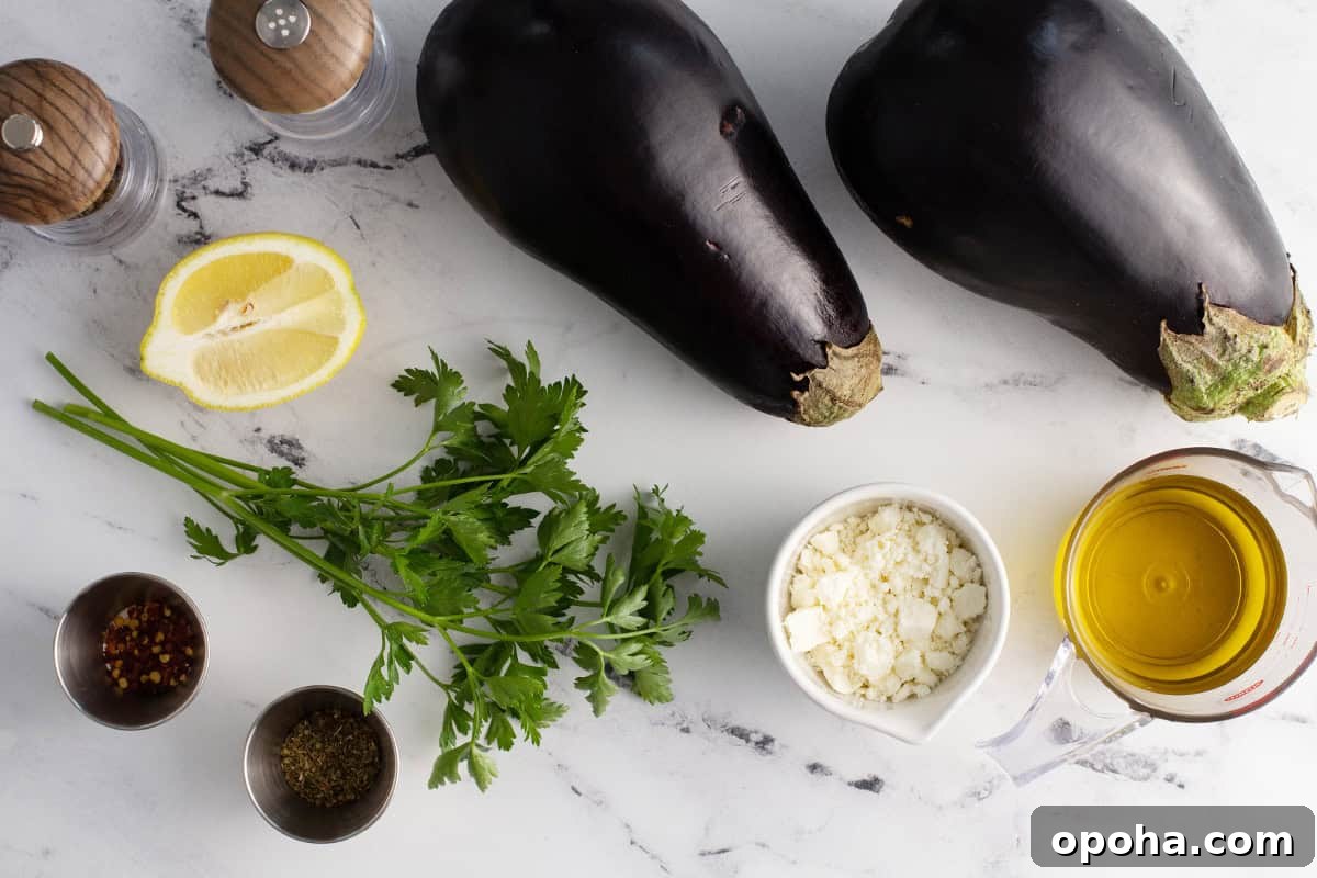 Ingredients to make grilled eggplant.