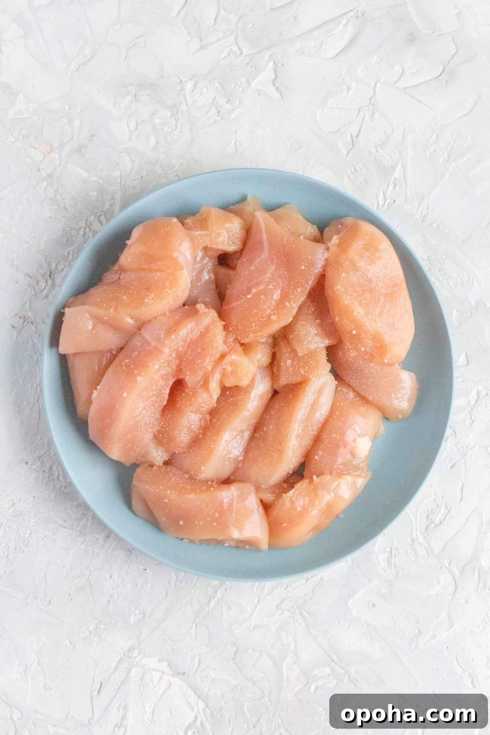 seasoned chicken