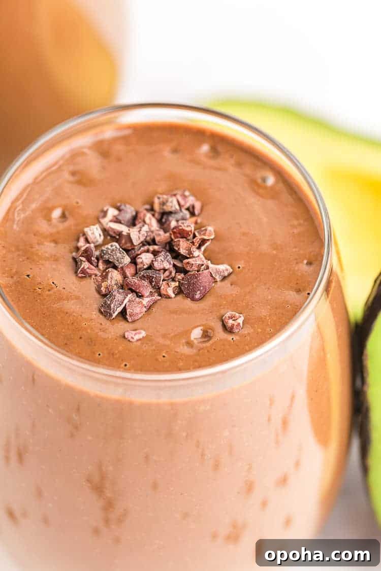Keto Chocolate Smoothie or Creamy Pudding 2 closeup of keto chocolate smoothie with cacao nibs sprinkled on top