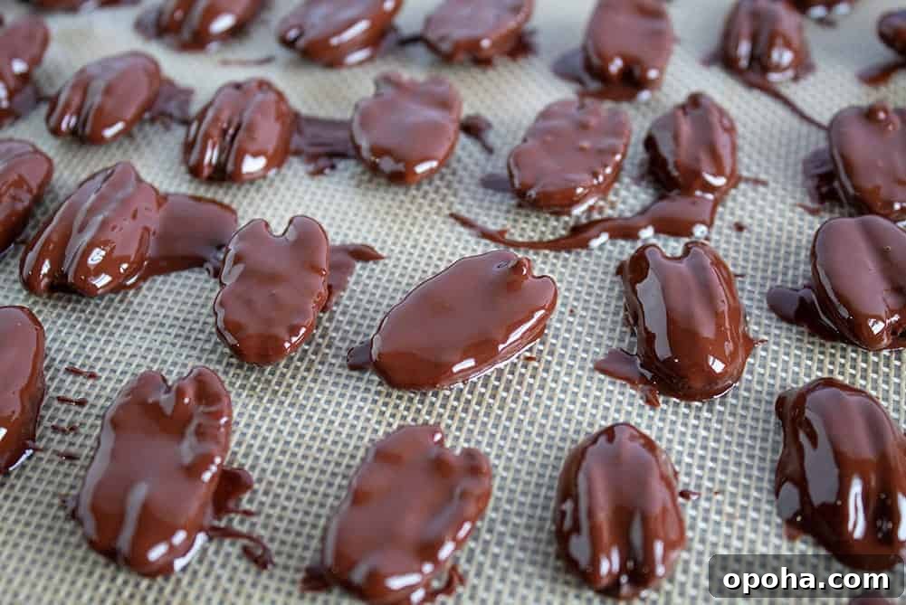 Keto Chocolate Smoothie or Creamy Pudding 10 closeup of chocolate covered pecans with several broken in half