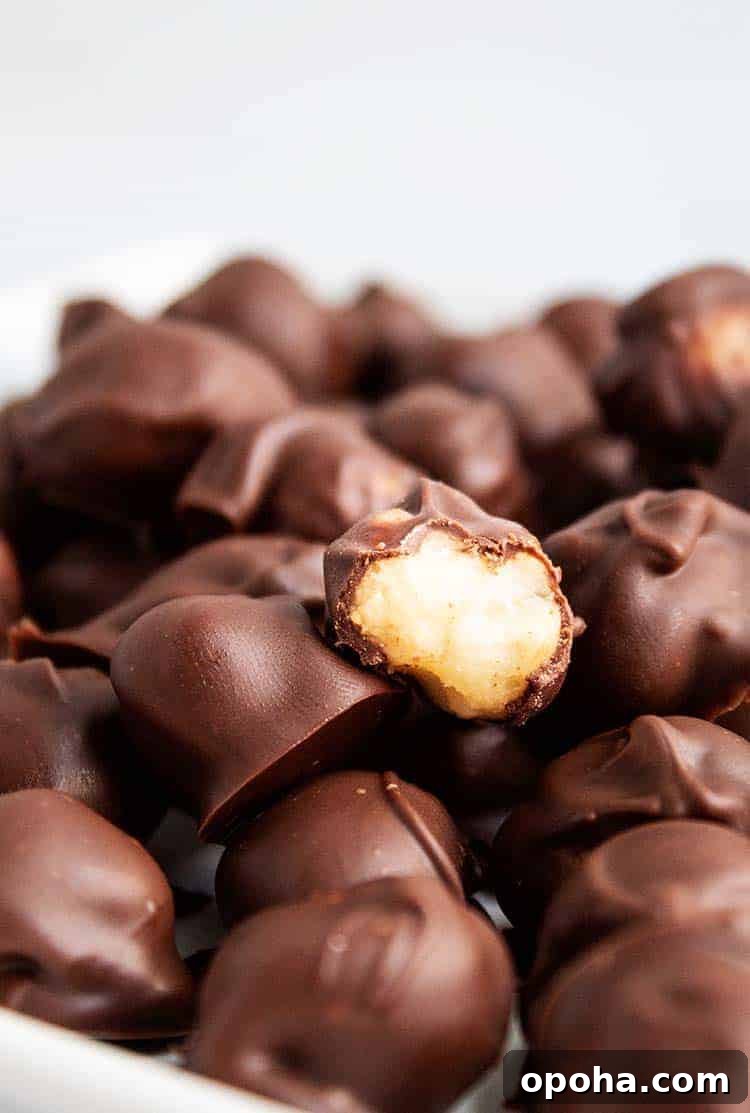 Keto Chocolate Smoothie or Creamy Pudding 11 closeup of half-eaten chocolate covered macadamia nut in a bowlful of macadamia nuts