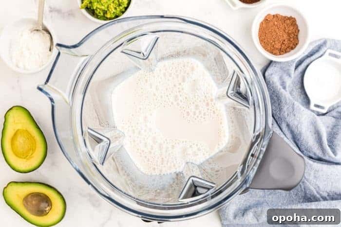 Keto Chocolate Smoothie or Creamy Pudding 3 overhead view of keto chocolate smoothie ingredients